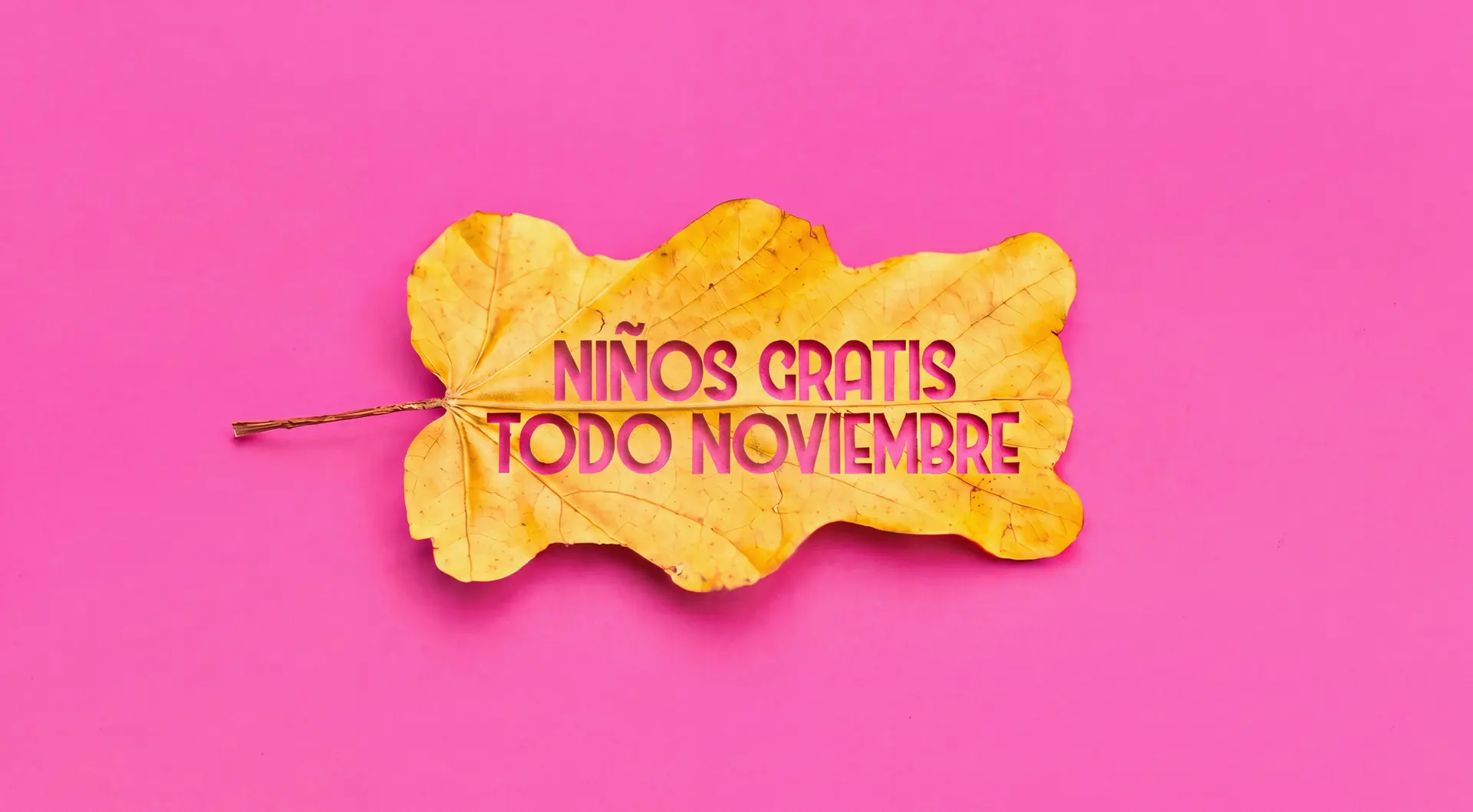 Niños gratis durante todo noviembre